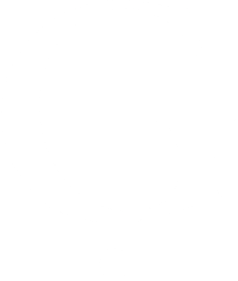 Glendally Bully short logo